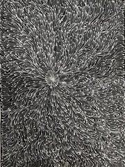 #285 Collecting Bush Medicine Seeds- LANITA NUMINA : Aboriginal Art: 39x53cm