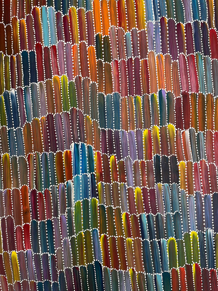 #17 Seeded Bush Yams - JEANNIE MILLS PWERLE Aboriginal Art:  105cm x 200cm