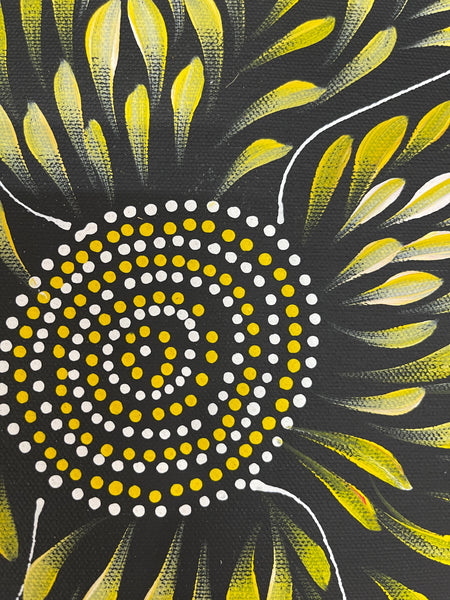 #226 Bush Medicine Leaves & Seeds around Waterhole (Yellow) - CAROLINE NUMINA : Aboriginal Art: 35x45cm