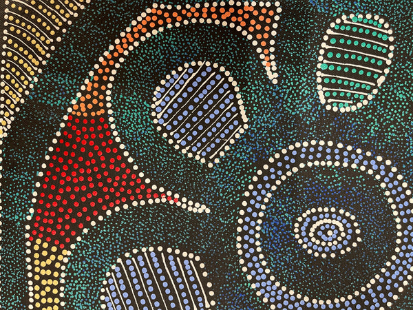 #237 Thorny Devil Lizard (Multi) - CAROLINE NUMINA : Aboriginal Art: 35x45cm