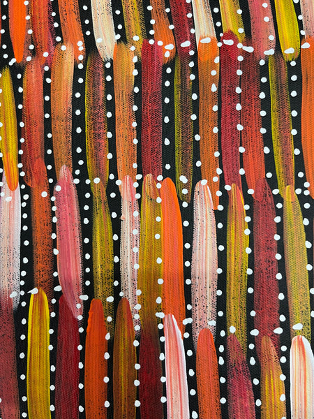#109 Seeded Bush Yams (Sunset) - SELINA NUMINA Aboriginal Art:  65cm x 140cm