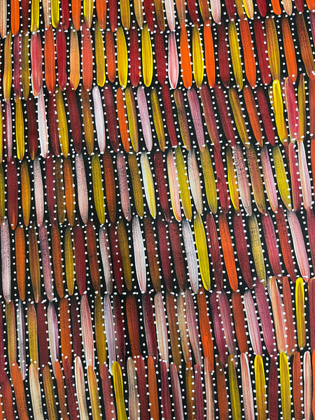 #109 Seeded Bush Yams (Sunset) - SELINA NUMINA Aboriginal Art:  65cm x 140cm