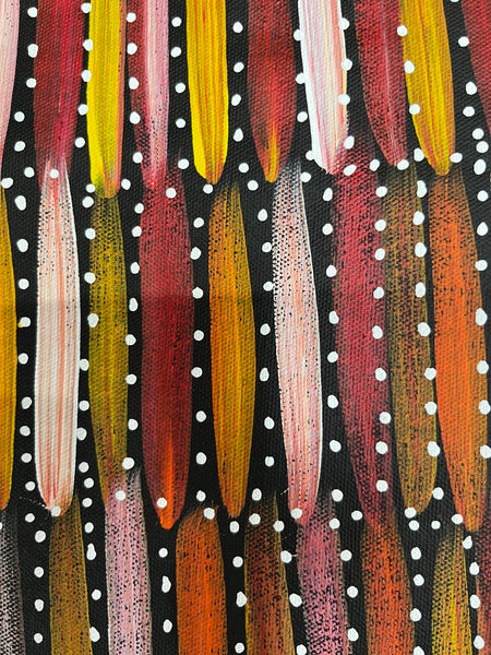 #109 Seeded Bush Yams (Sunset) - SELINA NUMINA Aboriginal Art:  65cm x 140cm