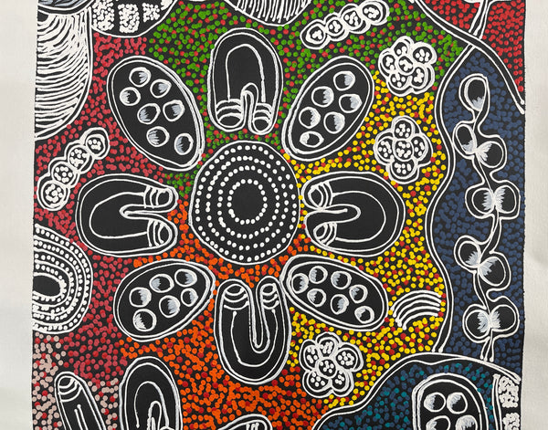 #5 My Country Women Dreaming - LANITA NUMINA : Aboriginal Art: 42x150cm