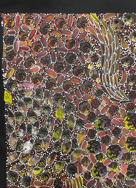 #78 Bush Yam Dreaming - RACHAEL NAMBULA: Aboriginal Art 95x96cm