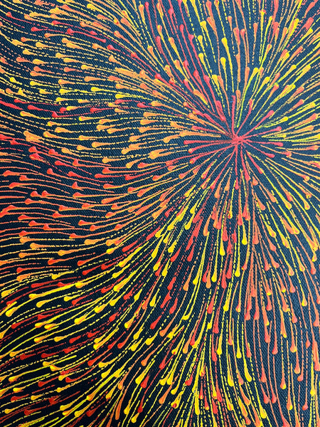 #294 Bush Medicine Seeds (Sunset) - SHARON NUMINA Aboriginal Art: 34cm x 96cm