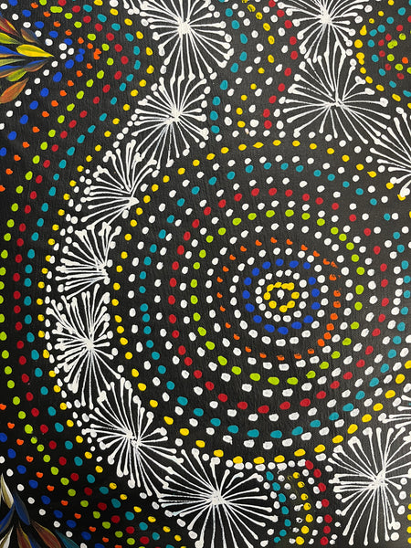 #399 Waterholes & Bush Medicine Leaves (Multi) - SELINA NUMINA Aboriginal Art:  44cm x 111cm (Copy)
