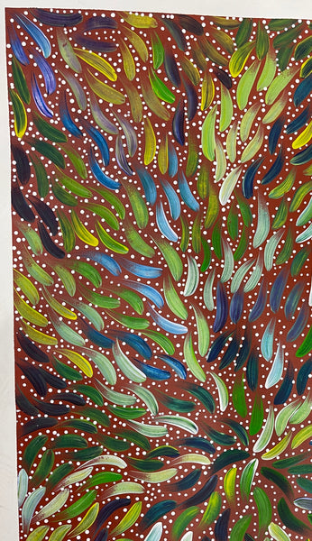 #358 Bush Medicine Seeds & Leaves - SABINA GOREY : ABORIGINAL ART: 85x145cm