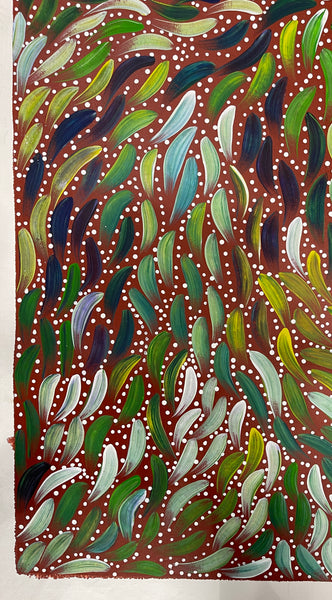 #358 Bush Medicine Seeds & Leaves - SABINA GOREY : ABORIGINAL ART: 85x145cm