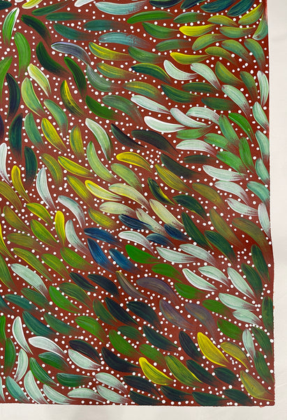 #358 Bush Medicine Seeds & Leaves - SABINA GOREY : ABORIGINAL ART: 85x145cm