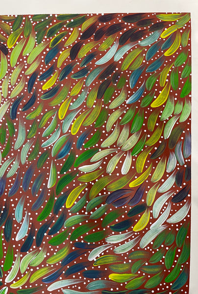 #358 Bush Medicine Seeds & Leaves - SABINA GOREY : ABORIGINAL ART: 85x145cm