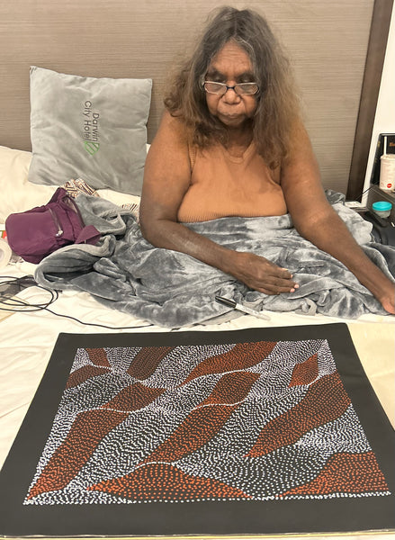 #35 Soakage & Sandhills  ANNA PETYARRE: Aboriginal Art:  52cm x 36cm