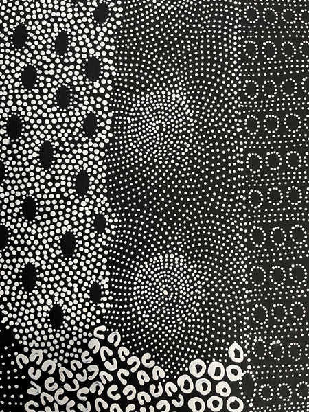 #213 Water Dreaming Ngapa (Blk/Whte) JANET LONG NAKAMARRA Aboriginal Art: 90cm x 97cm