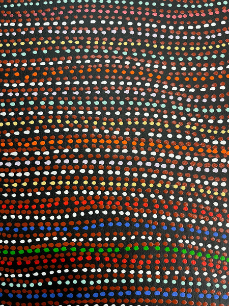 #126 Brown Dingo Dreaming (Desert Reds) - LANITA NUMINA Aboriginal Art:  44cm x 156cm