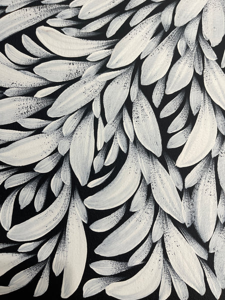 #344 Bush Medicine Leaves (Black/White)- SELINA NUMINA : Aboriginal Art: 61x62cm