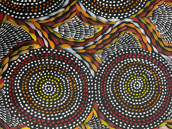 #260 Waterholes & Bush Medicine Leaves (Sunset)  - Scott Duggie Aboriginal Art: 90cm x 151cm