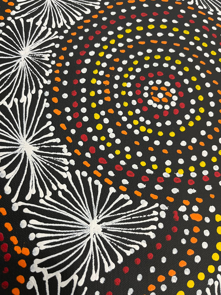 #360 Waterhole Dreaming (Sunset) - SELINA NUMINA Aboriginal Art:  62cm x 148cm