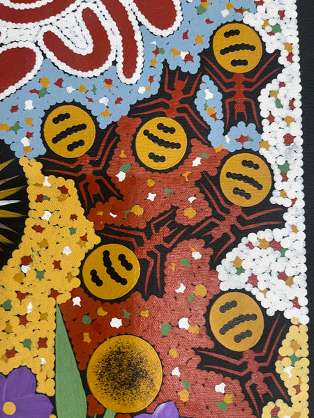 #191 Honey Ant & Bush Tomato Dreaming - JONATHAN HOCKLEY - Aboriginal Art: 27x69cm