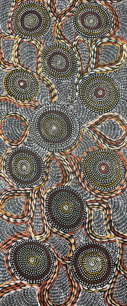 #97 Waterholes & Bush Medicine Leaves (Earth) - SCOTT DUGGIE Aboriginal Art: 62cm x 149cm
