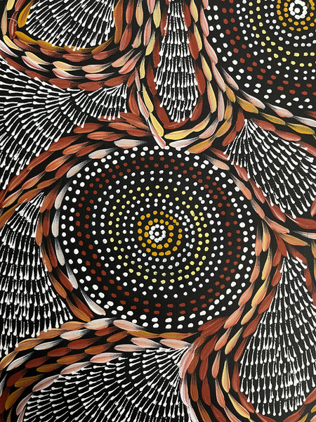 #97 Waterholes & Bush Medicine Leaves (Earth) - SCOTT DUGGIE Aboriginal Art: 62cm x 149cm