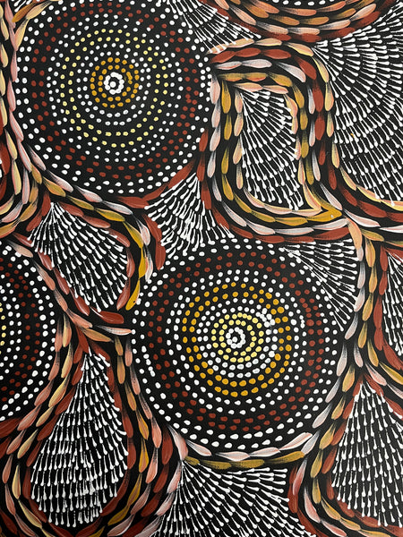 #97 Waterholes & Bush Medicine Leaves (Earth) - SCOTT DUGGIE Aboriginal Art: 62cm x 149cm