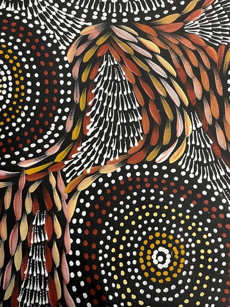 #97 Waterholes & Bush Medicine Leaves (Earth) - SCOTT DUGGIE Aboriginal Art: 62cm x 149cm
