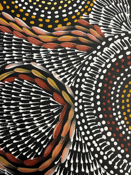#97 Waterholes & Bush Medicine Leaves (Earth) - SCOTT DUGGIE Aboriginal Art: 62cm x 149cm