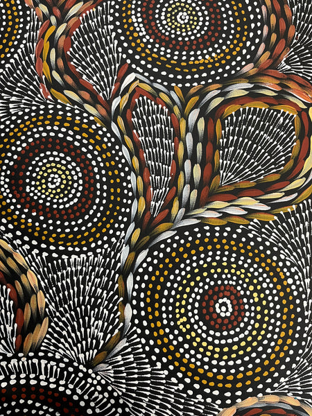 #97 Waterholes & Bush Medicine Leaves (Earth) - SCOTT DUGGIE Aboriginal Art: 62cm x 149cm