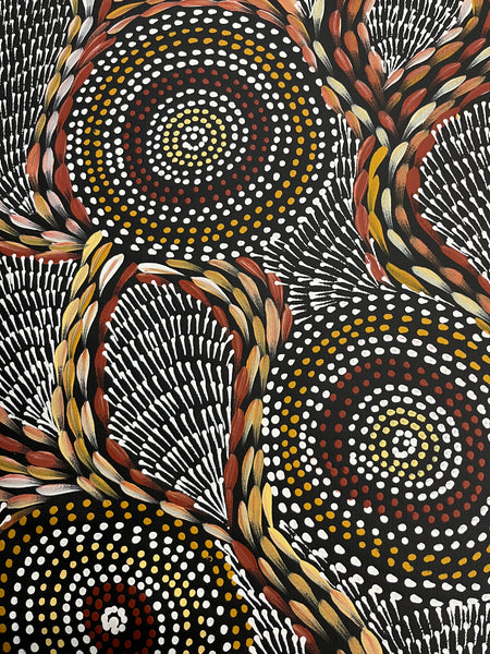#97 Waterholes & Bush Medicine Leaves (Earth) - SCOTT DUGGIE Aboriginal Art: 62cm x 149cm