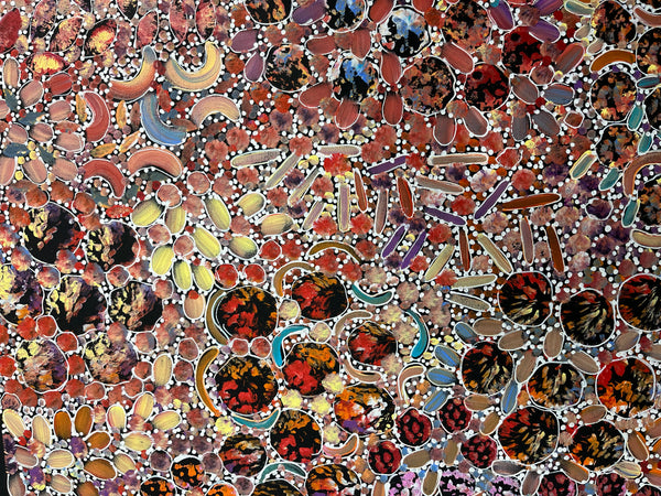 #1 Bush Yam Dreaming (Pastels) - RACHAEL NAMBULA: Aboriginal Art:   70cm x 200cm