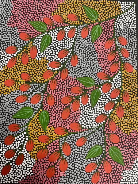 #116 Bush Berries (Multi) - Angela Numina: ABORIGINAL ART: 43x33cm
