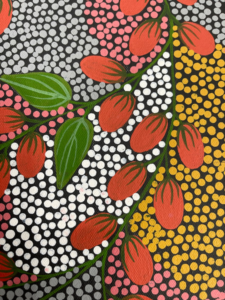 #116 Bush Berries (Multi) - Angela Numina: ABORIGINAL ART: 43x33cm