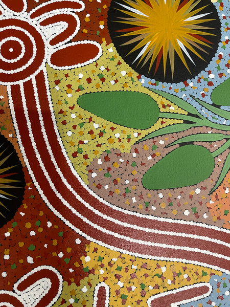 #259 Bush Tucker Dreaming - JONATHAN HOCKLEY - Aboriginal Art: 105x59cm