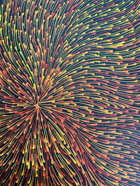 #363 Bush Medicine Seeds (Sunset) - SHARON NUMINA Aboriginal Art: 42cm x 152cm