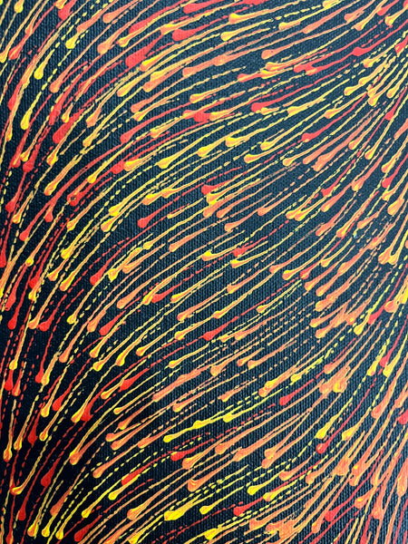 #363 Bush Medicine Seeds (Sunset) - SHARON NUMINA Aboriginal Art: 42cm x 152cm