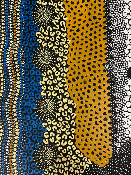 #348 Water Dreaming Ngapa (Earth/Blue) JANET LONG NAKAMARRA Aboriginal Art:  55cm x 112cm