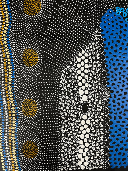 #348 Water Dreaming Ngapa (Earth/Blue) JANET LONG NAKAMARRA Aboriginal Art:  55cm x 112cm