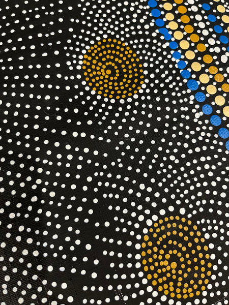 #348 Water Dreaming Ngapa (Earth/Blue) JANET LONG NAKAMARRA Aboriginal Art:  55cm x 112cm