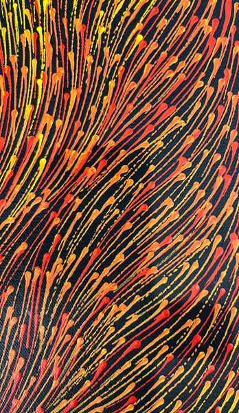 #168 Bush Medicine Seeds (Sunset) - SHARON NUMINA Aboriginal Art:  40cm x 124cm