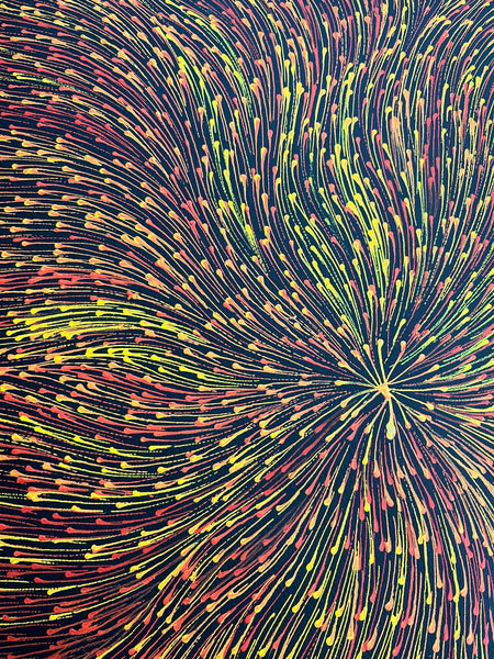 #42 Bush Medicine Seeds (Sunset) - SHARON NUMINA Aboriginal Art:  58cm x 96cm