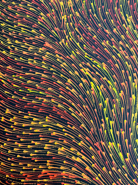 #42 Bush Medicine Seeds (Sunset) - SHARON NUMINA Aboriginal Art:  58cm x 96cm