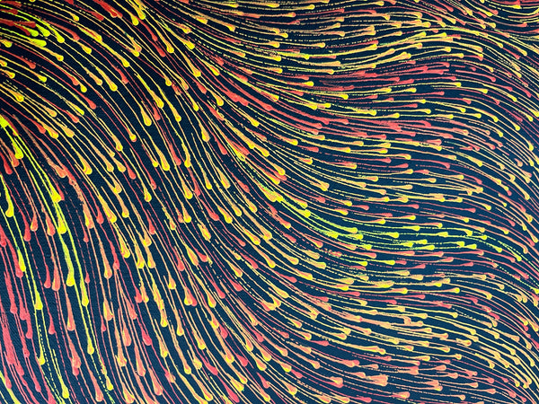 #42 Bush Medicine Seeds (Sunset) - SHARON NUMINA Aboriginal Art:  58cm x 96cm
