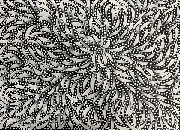#204 Bush Medicine Leaves and Seeds (White) - CAROLINE NUMINA Aboriginal Art:  54cm x 39cm
