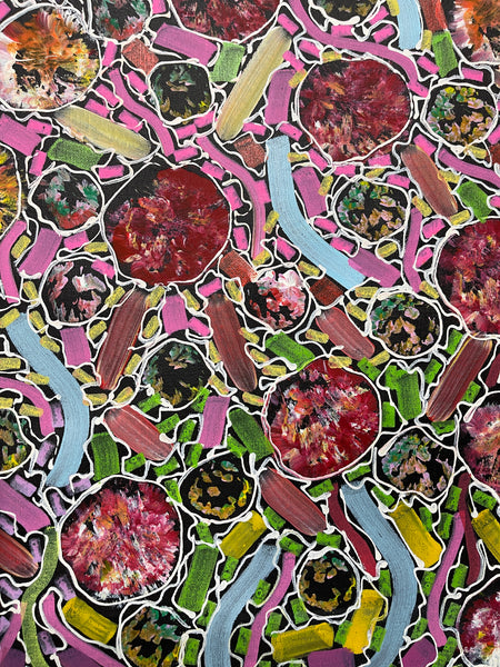 #86 Bush Yam Dreaming (Rainbow/Multi)- RACHAEL NAMBULA: Aboriginal Art 70x150cm