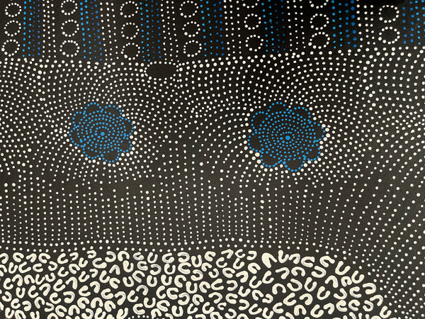 #38 Water Dreaming - Ngapa (Earth)- JANET LONG NAKAMARRA: Aboriginal Art: 85x200cm