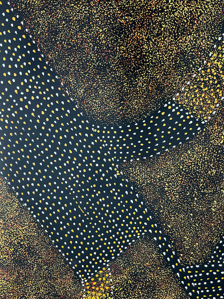 #147 - Bush Plum Dreaming (Earth)  - ROSEANNE MORTON PWERLE:  96cm x 150cm