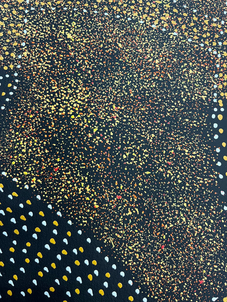 #147 - Bush Plum Dreaming (Earth)  - ROSEANNE MORTON PWERLE:  96cm x 150cm
