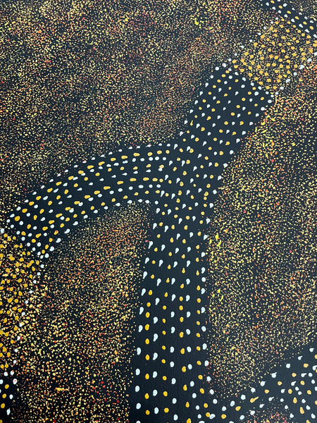#147 - Bush Plum Dreaming (Earth)  - ROSEANNE MORTON PWERLE:  96cm x 150cm