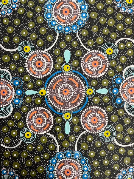 #387 After the Rain (Multi) ALIARA BIRD MPETYANE -  Aboriginal Art: 36cm x 50cm