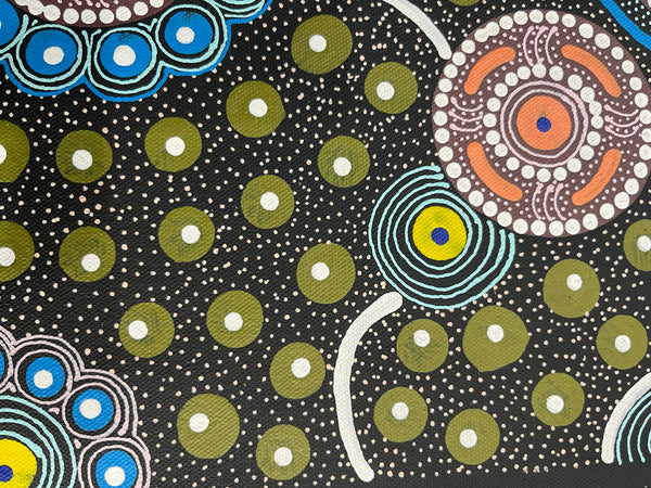 #387 After the Rain (Multi) ALIARA BIRD MPETYANE -  Aboriginal Art: 36cm x 50cm